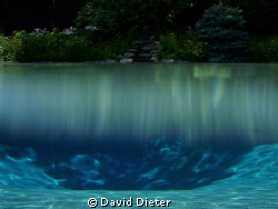 half and half by David Dieter 